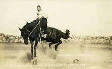    VINTAGE   COWBOYS  & HORSES  POSTCARD