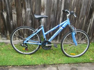 raleigh m200 mountain bike