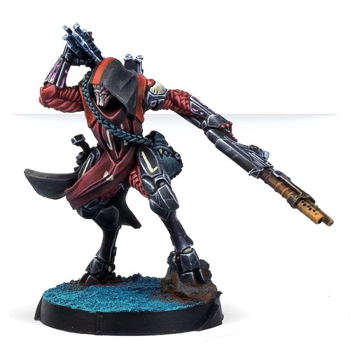 Das Leichentuch (Boarding Schrotflinte) Corvus Belli Infinity - Bild 2 von 2