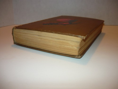 BUFFALO BILL'S LIFE STORY,AN AUTOBIOGRAPHY,CODY,BOOK N.C.WYETH,1ST ,COSMOPOLITAN - Foto 4 di 6
