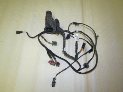 Original VW Sharan 7N Highline Leitungssatz Fahrertür für Dynaudio A30169 7n0971