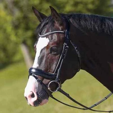 Premium Leather English Horse Bridle with Tack Set Available all Sizes