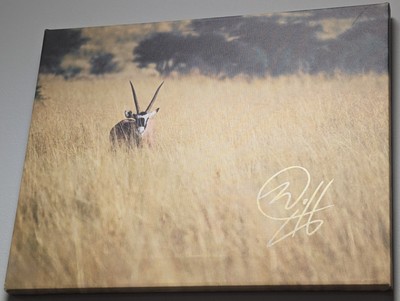 2023 SOUTH AFRICA Signed 16X20 CANVAS Print #d 1/1 ORYX IN THE BRUSH by BC Mixx
