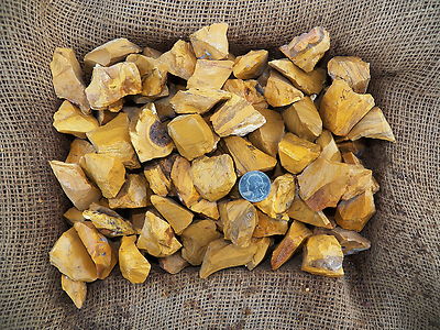 3000 Carat Lots of Yellow Jasper Rough - Plus a FREE Faceted