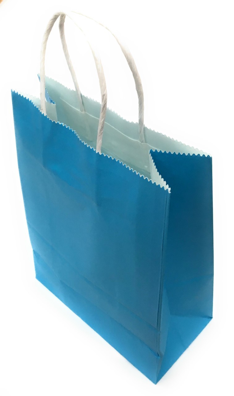 Party Bags Kraft Paper Carrier Gift Loot Bag with Twisted Handle
