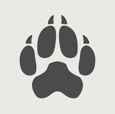 8''x8.5'' Clear Plastic Stencil - Wolf (ME419)