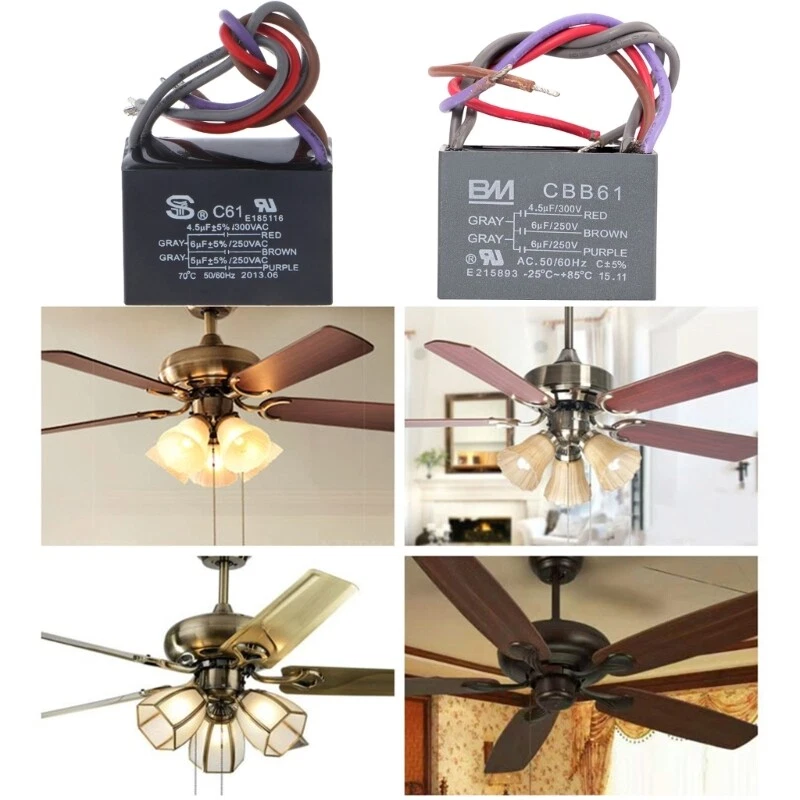 Ceiling Fan Generator Shelly Lighting