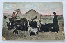 Egyptian Women Camel Donkey - La Famille Du Fellah c1907 Egypt to USA