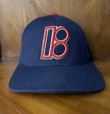 Vintage Plan B True Skateboards Starter The Natural Snapback Hat Cap Embroidered