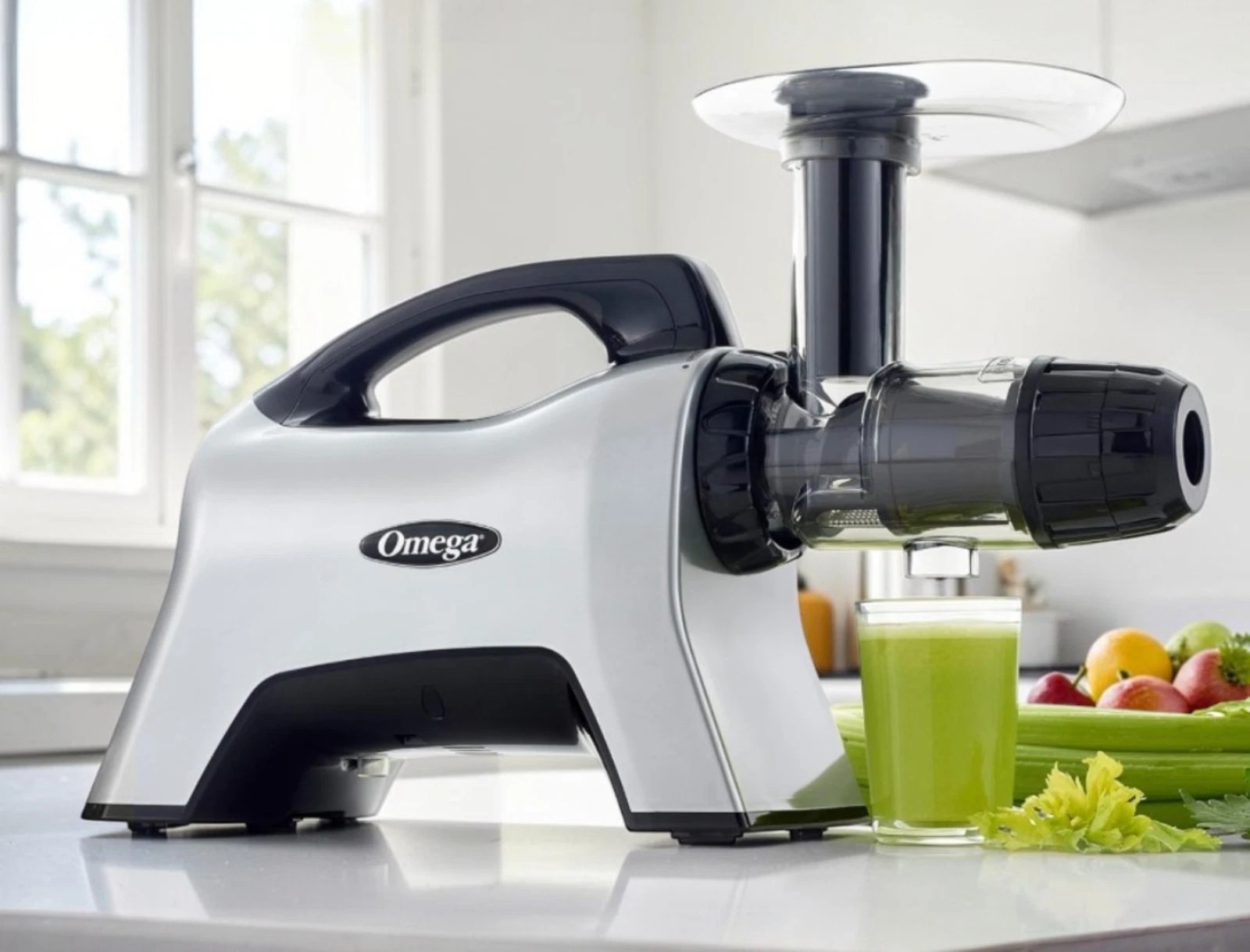 Omega NC1000HDS Horizontal Masticating Juicer Nutrition Center Silver USED