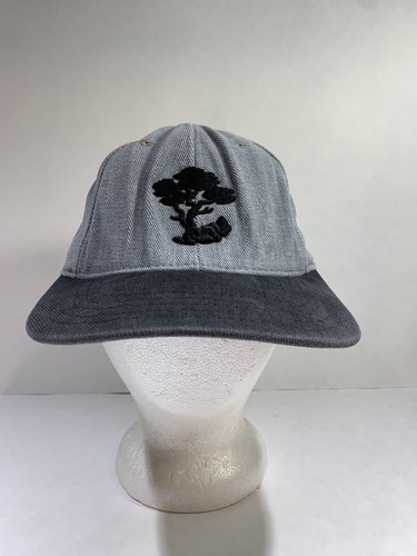 Grey Baseball Hat Cap Ashworth PGA | eBay