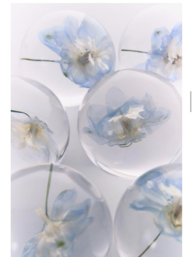BTS Jimin Muse BLOOMING ver. Flower Paper Weight | eBay