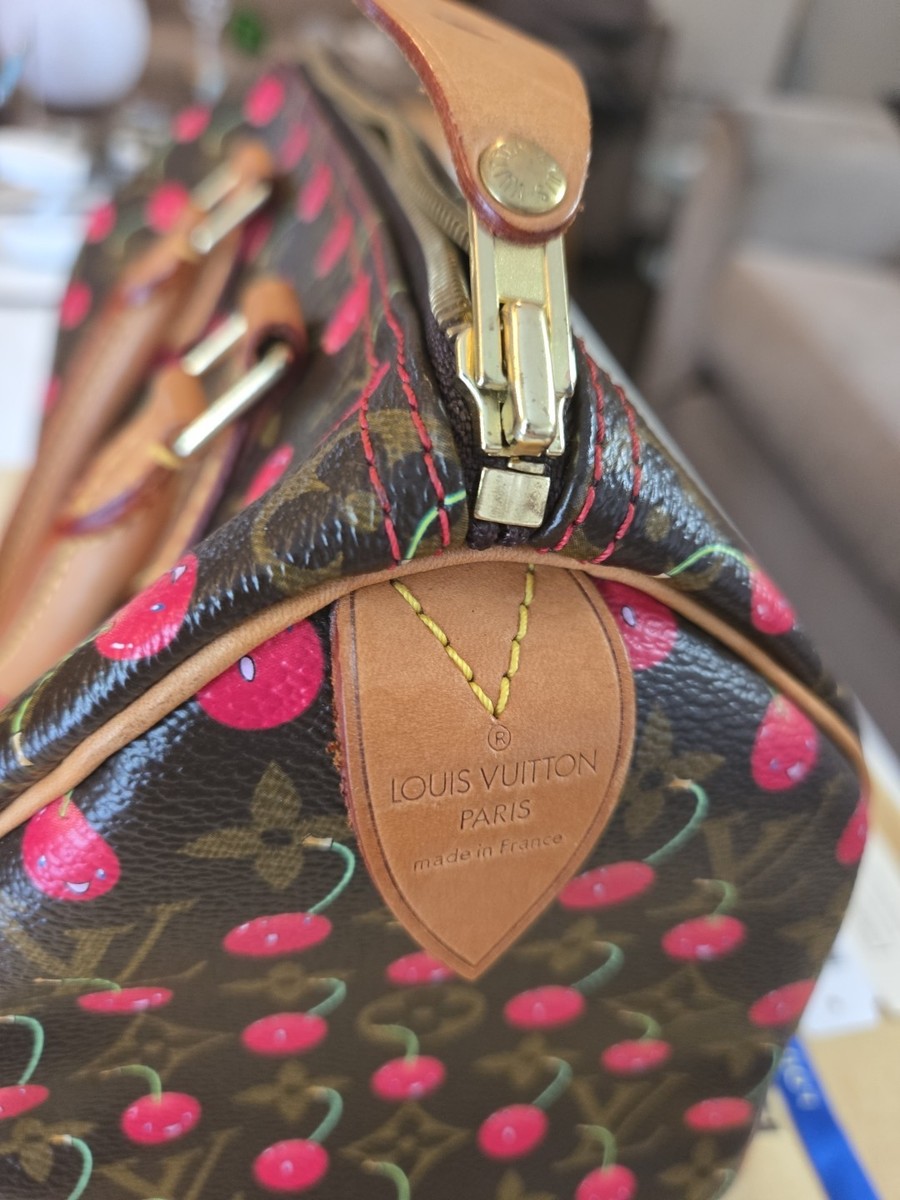Louis Vuitton Speedy Satchel 25 Brown Canvas Monogram Cerises for