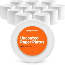 9" Uncoated White Paper Plates Microwave Safe Commercially Compostable 1200ct