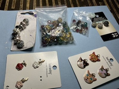 46 Piece Charm Slider Bead Lot   hildie & jo, Metal Gallery Pet & Rhinestone