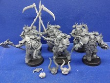 RAR! 6 Auserkorene / Chosen der Death Guard UMBAU