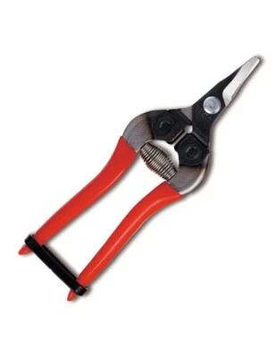 Forbici per Frutta ARS 310 D Curva