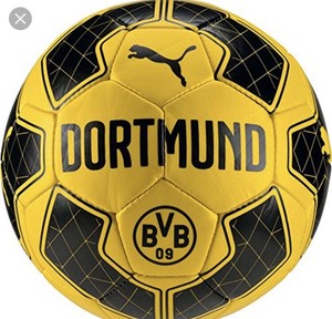 bvb fan ball
