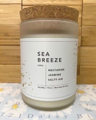 Summer & Rose Nectarine Jasmine Salty Air Sea Breeze Soy Wax Candle RV $44