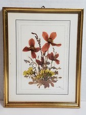 Vintage Dried Pressed Flowers Tyrol Austria Handmade Botanica Signed Framed