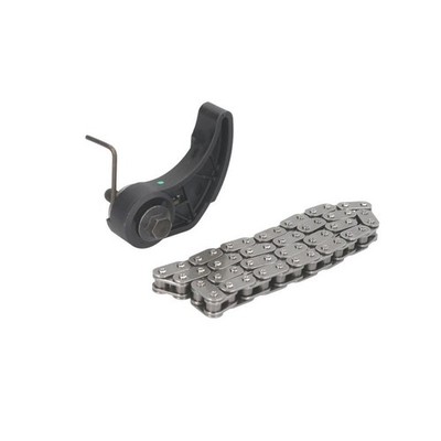   SWAG CHAIN KIT OIL PUMP DRIVE SW30947352 NEU DE STOCK