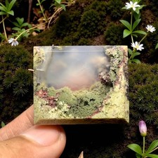Scenic Moss Agate Cabochon 31x25x6mm High Quality 50.5 ct