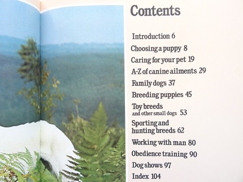 Dog Photo Book 1978 AllColor English 104 Pages From Japan - Picture 10 of 10