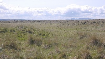 Foto 6x4 ehemalige Lagune, Aberlady Bay Craigielaw Anfang der 1980er Jahre die t c2016
