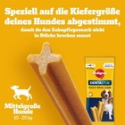 Bild 6 von 12