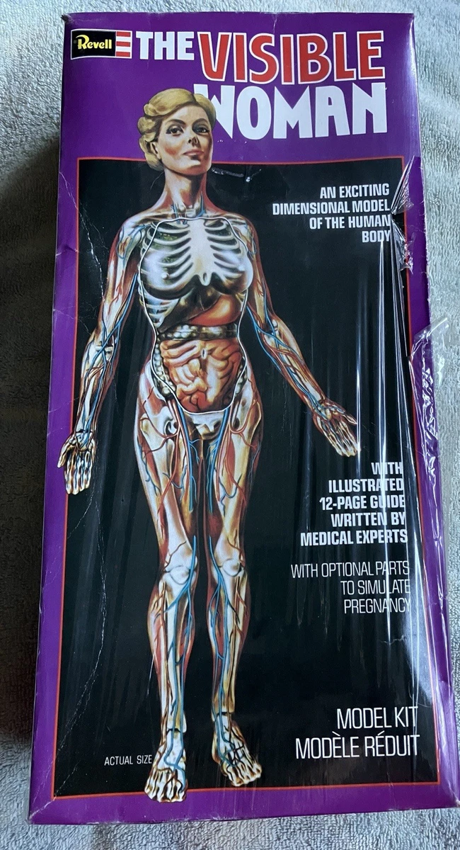 visible woman products for sale | eBay
