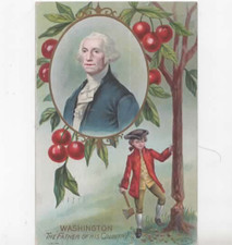 Washington The Father of his Country postcard 1909 chopping down Cherry Tree