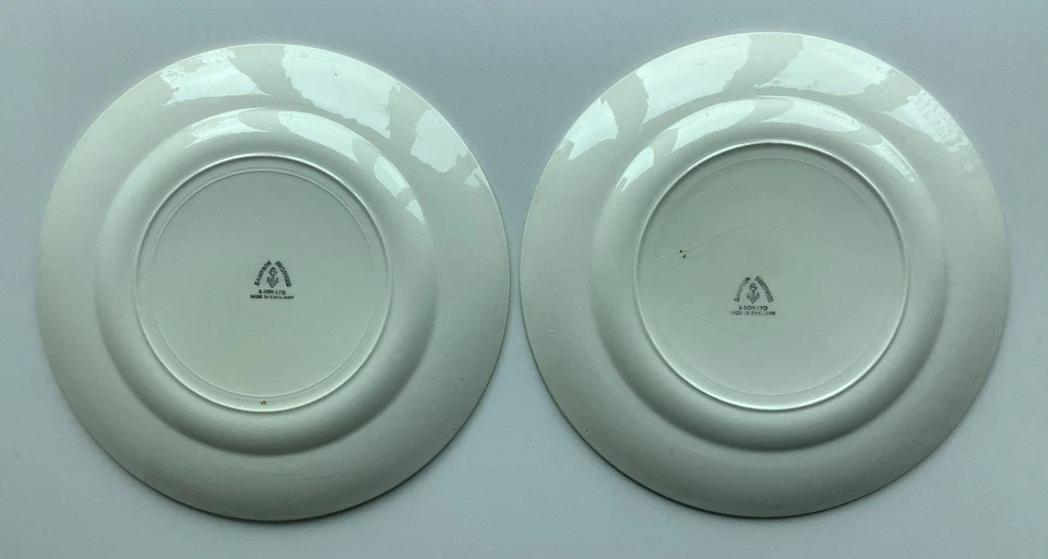 Vintage Sampson Bridgwood & Son Plates x Two - 26cm Diameter - Good Condition - Image 4 of 4