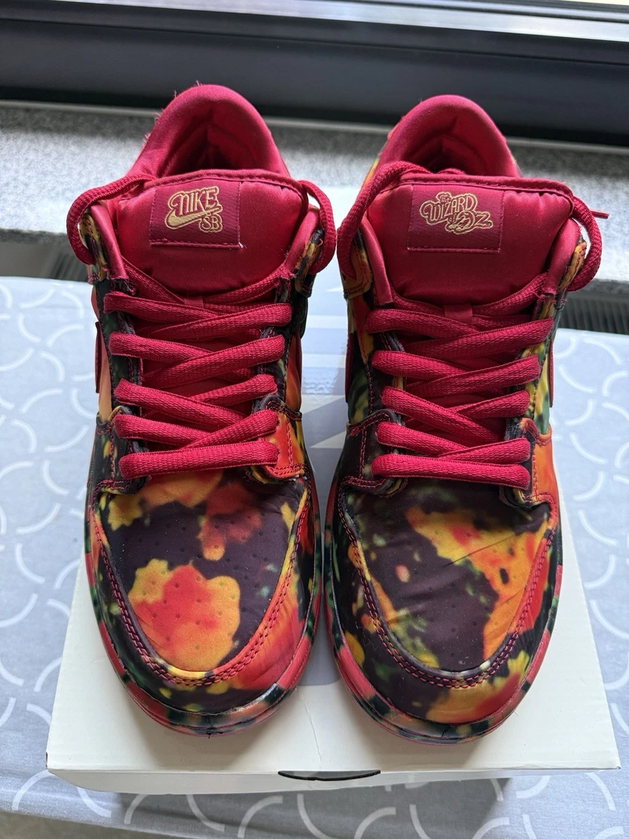 Nike The Wizard of Oz x Dunk SB Low Poppy Field - огромный выбор