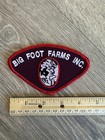 Vintage Big Foot Farms Inc Patch Chief Big Foot Wisconsin Native American Head — photo 4