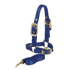New! Valhoma Durable NYLON SHEEP HALTER w/ Adjustable chin & 5' Lead 9 COLORS!