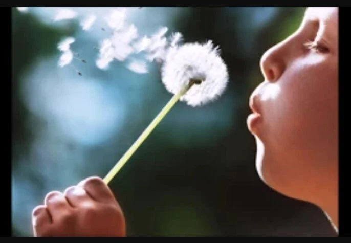 4 Week Diaphragmatic Breath Support Course for All Musicians, Singers, and more - Image 2 of 4