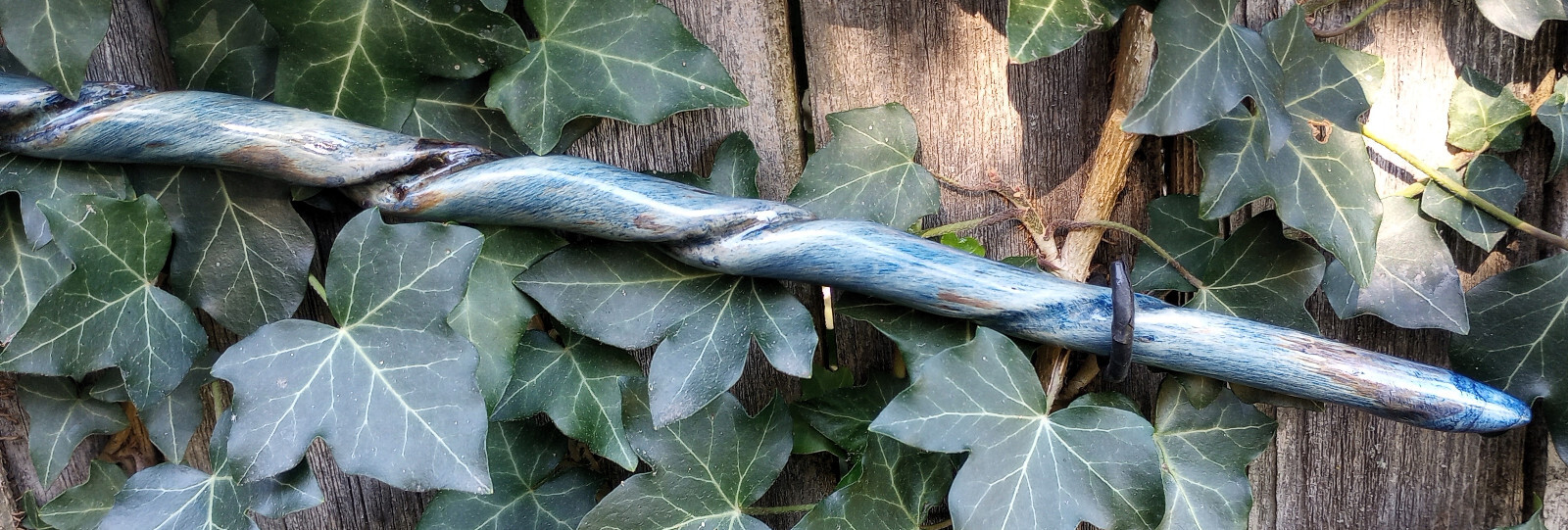 Picture 5 of 17