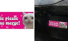 Bestie Please Let Me Merge Cat Y2K Aesthetic Funny Gen Z Meme Bumper Pink