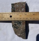 OBICULAR INDIAN RIVER JASPER "King Cobra" END CUT ~352gr/12.4oz/ rough agate cab — photo 8