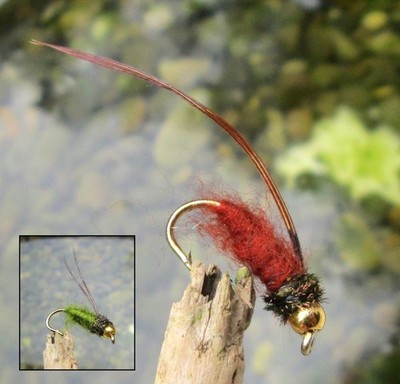 Gilchrist Fliegen. 3 x Goldkopfnymphen CADDIS PUPA. Köcherfliegenpuppe.
