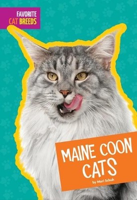 Mari C Schuh Maine Coon Cats (Taschenbuch) Favorite Cat Breeds