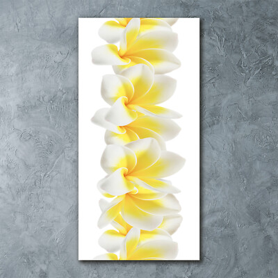 Wand-Bild Kunstdruck aus Hart-Glas Hochformat 60x120 Plumeria