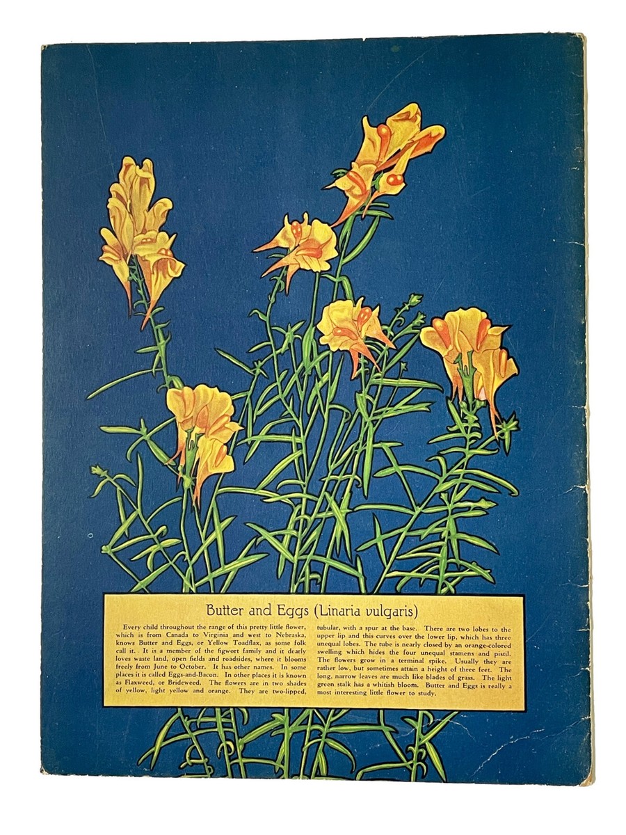 WILD FLOWERS WE KNOW Thornton W. Burgess Paperbound 1929