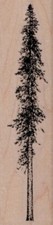 Skinny Fir Tree 1 1/4 x 4 1/2" Rubber Stamp, Plants Stamp, Flowers, Trees