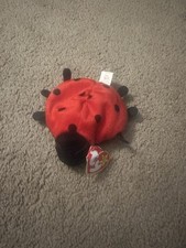 TY Beanie Baby Lucky The Ladybug with Spots Plush Toy