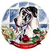 Harlequin Dane Uncropped Dog Porcelain Ornament Pet Gift 'Santa. I Can Explain '