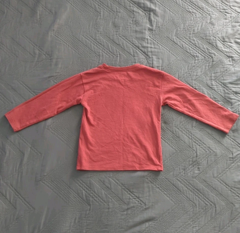 Lote de 3 camisetas de manga larga Garanimals para niños 4T a rayas Dino colorblock paquete Foto 4 de 4