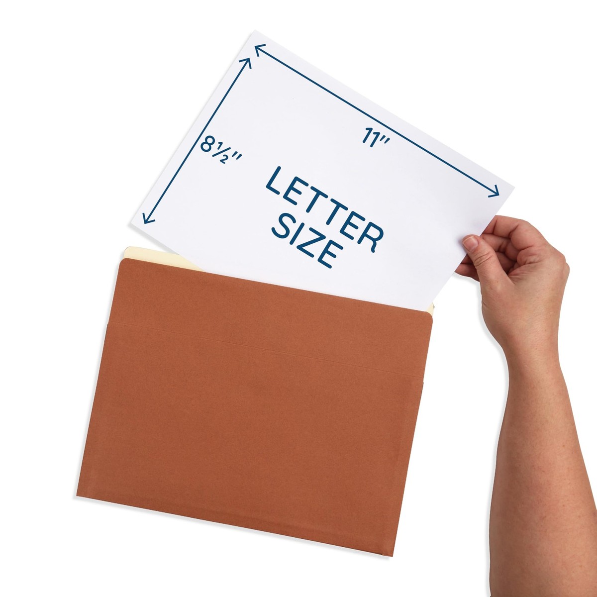Blue Summit 10 Redwell Folders Letter Size, Brown Accordion File