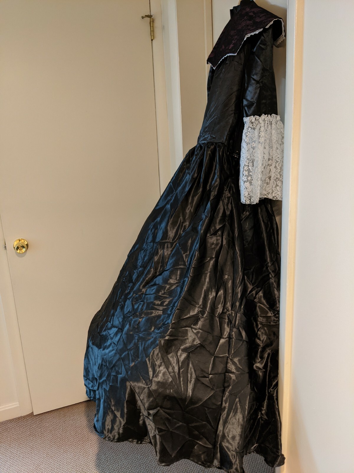 Picture 5 of 12