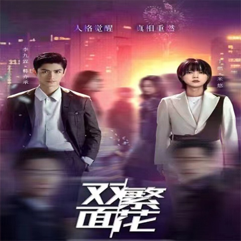 Chinese Drama shuang mian fan hua Chinese Sub 双面繁花Boxed 2024